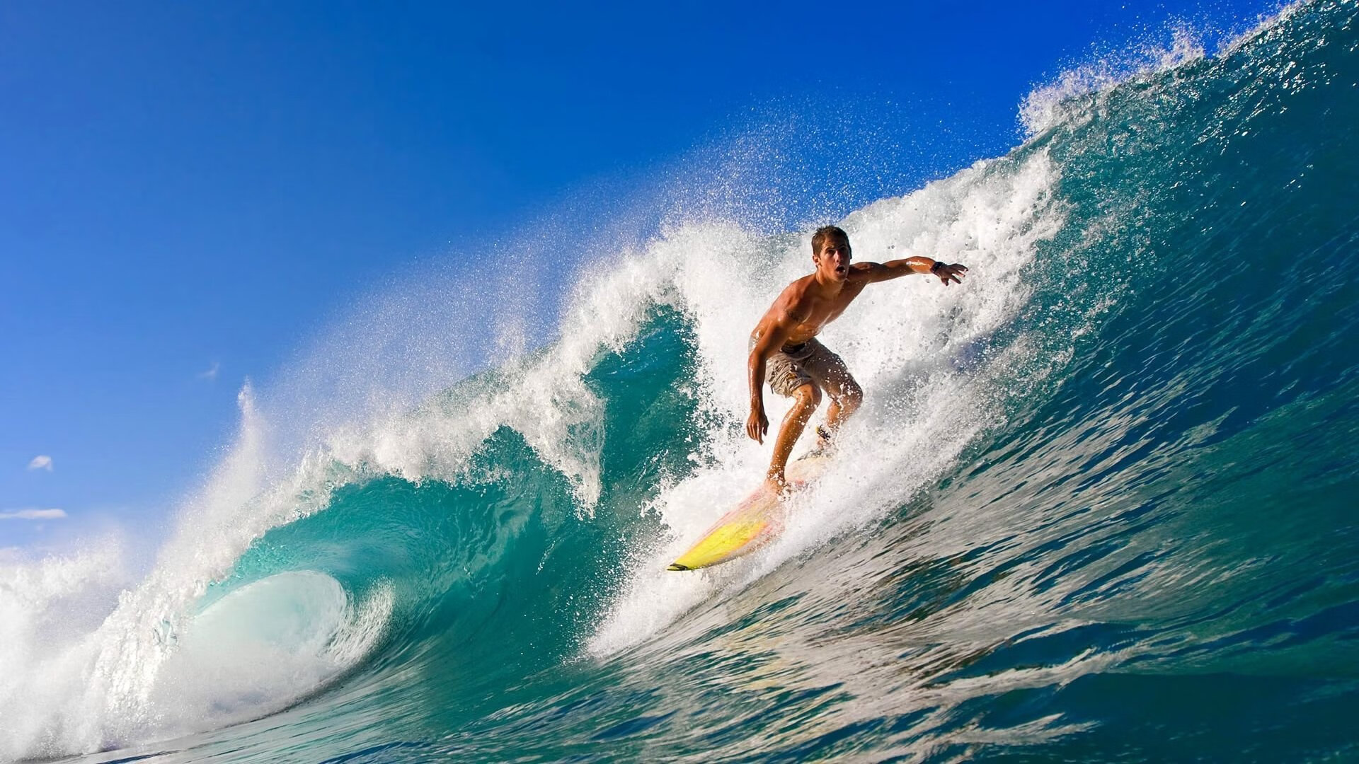 体育纪录片热播,运动员幕后故事打动观众,体育纪录片有哪些